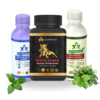 Ultimate Men's Wellness Pack 🔥 Boost Strength 💪, Mental Clarity & Gut Health Naturally